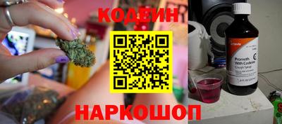 крисы Моздок