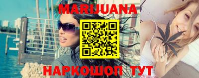 крисы Моздок