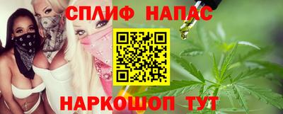 крисы Моздок