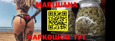 крисы Моздок