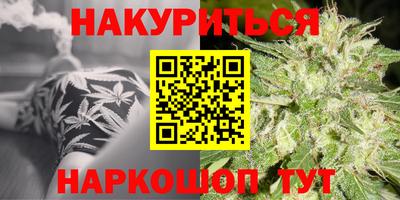 крисы Моздок