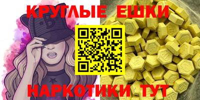 крисы Моздок