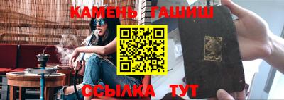 крисы Моздок