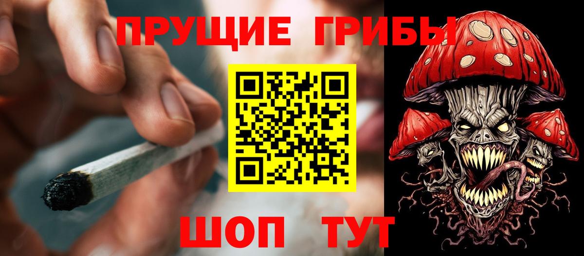 Псилоцибиновые грибы GOLDEN TEACHER  Вход с VPN  Хасавюрт 